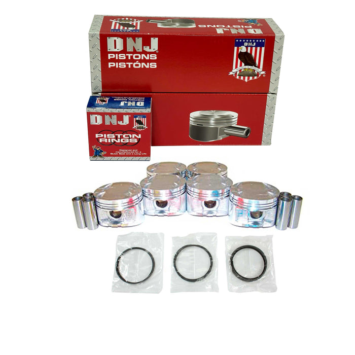 Piston Set w/ Rings