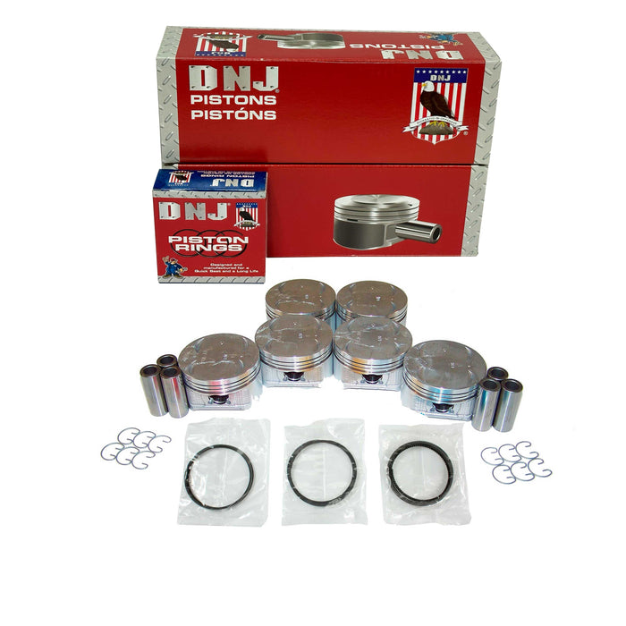 Piston Set w/ Rings