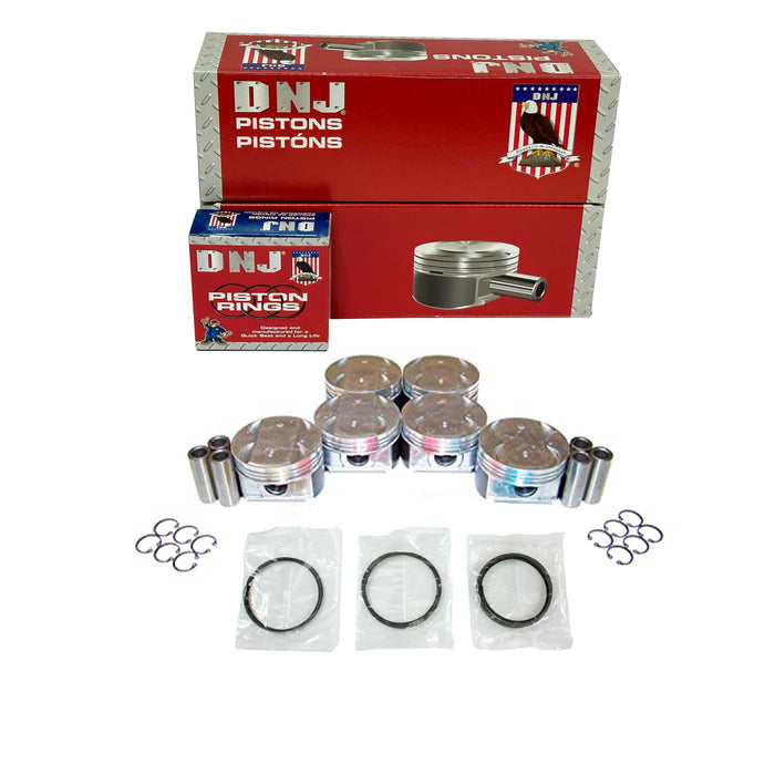 Piston Set w/ Rings