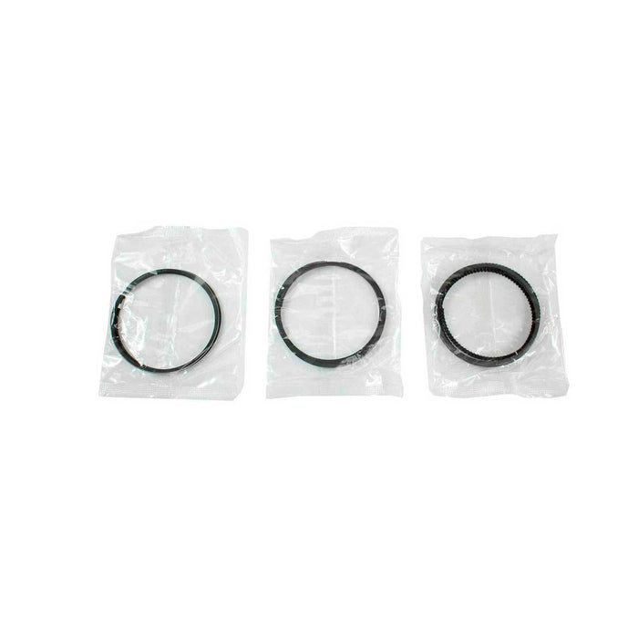 Piston Set w/ Rings