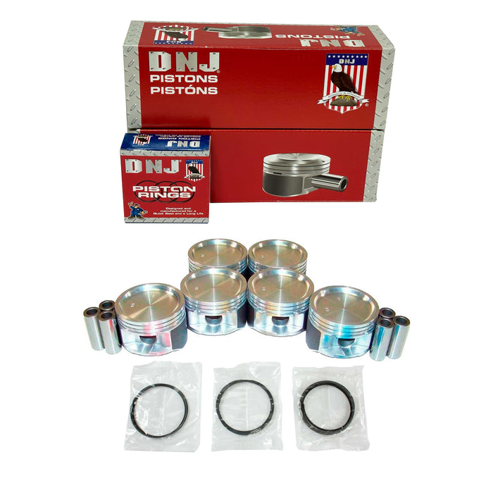 Piston Set w/ Rings