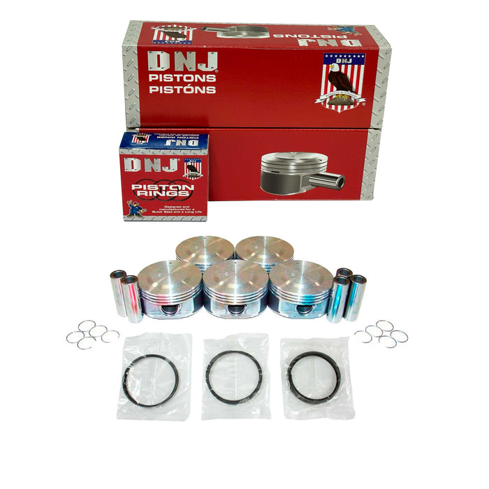 Piston Set w/ Rings