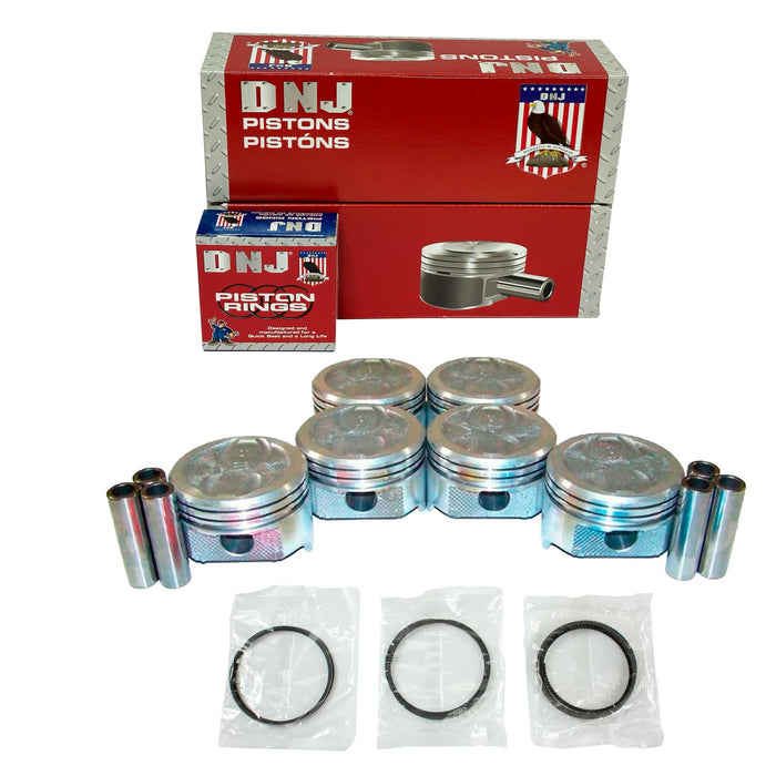 Piston Set w/ Rings