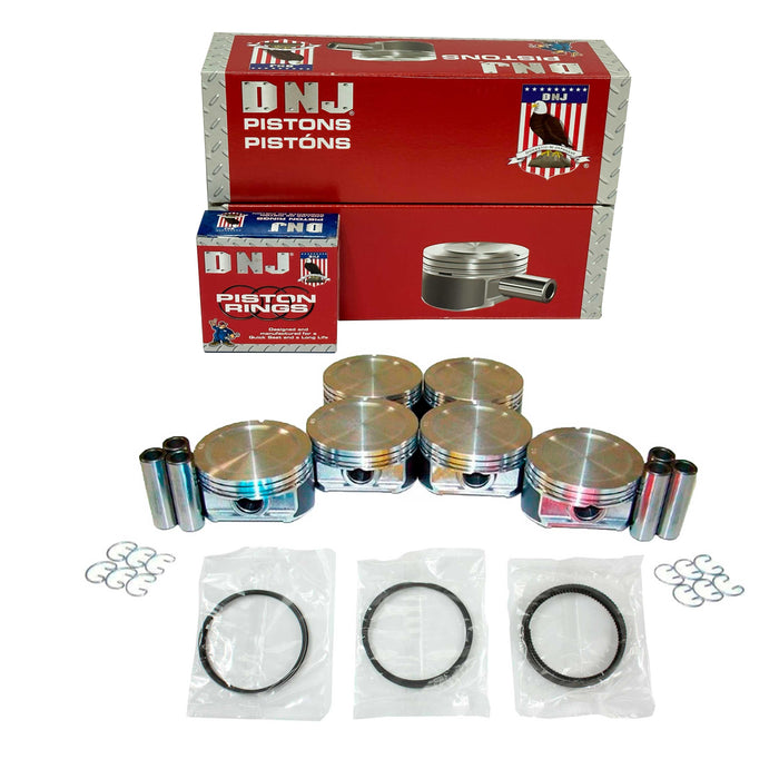 Piston Set w/ Rings