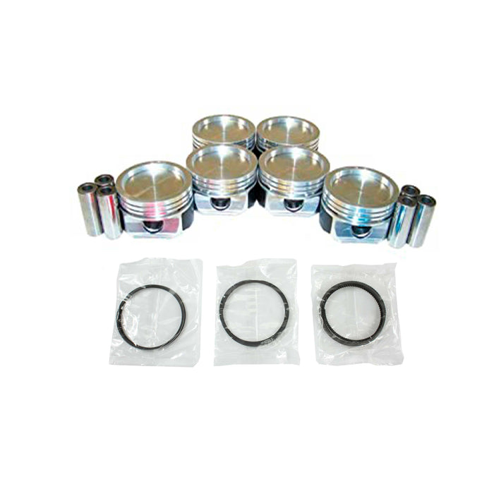 Piston Set w/ Rings