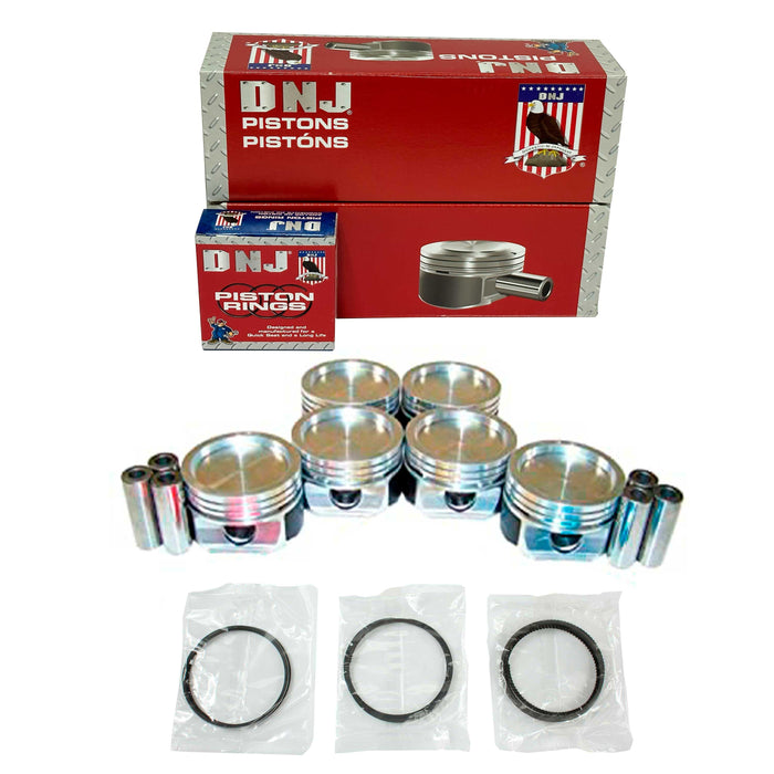 Piston Set w/ Rings