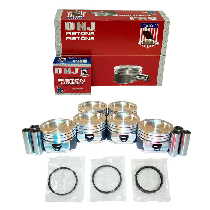 Piston Set w/ Rings