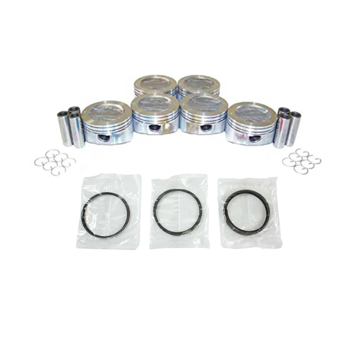 Piston Set w/ Rings