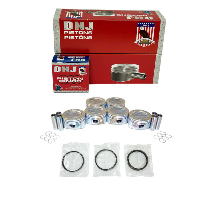 Piston Set w/ Rings