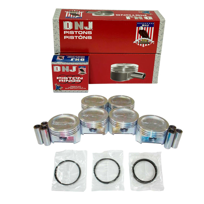 Piston Set w/ Rings