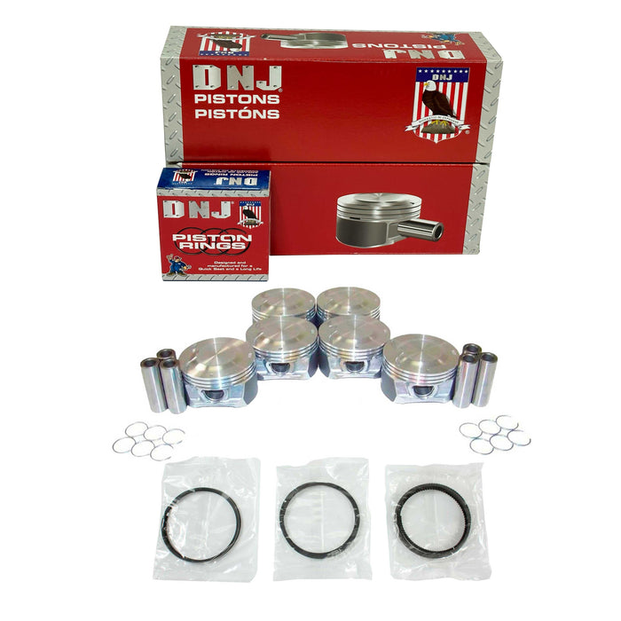 Piston Set w/ Rings