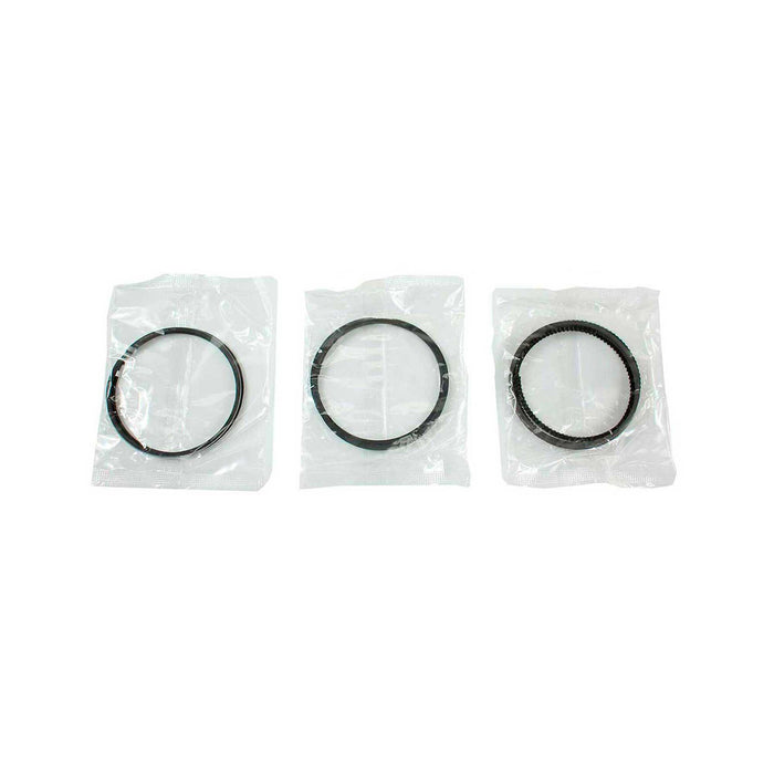 Engine Piston and Ring Kit