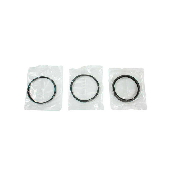 Piston Set w/ Rings
