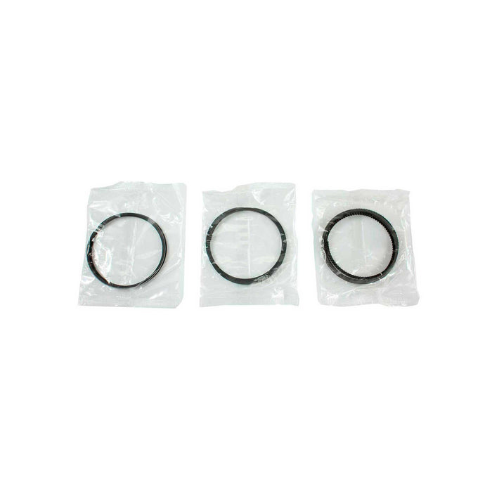 Piston Set w/ Rings