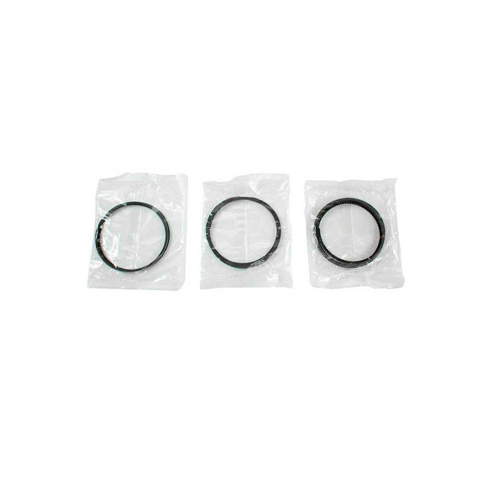 Piston Set w/ Rings