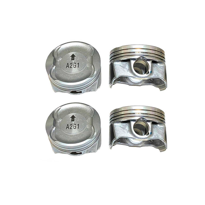 Engine Piston and Ring Kit