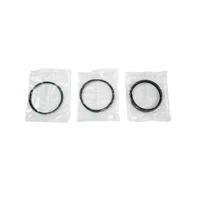 Engine Piston and Ring Kit