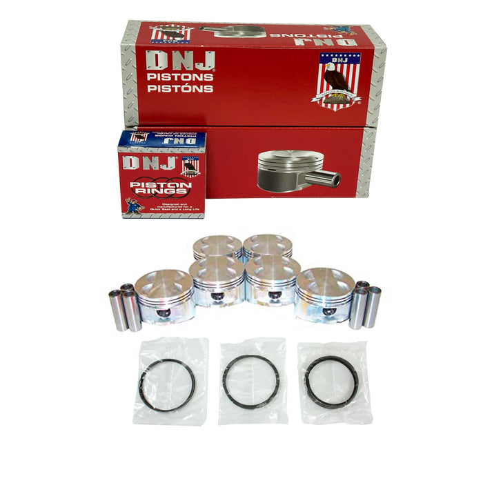 Piston Set w/ Rings