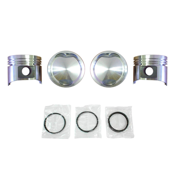 Piston Set w/ Rings