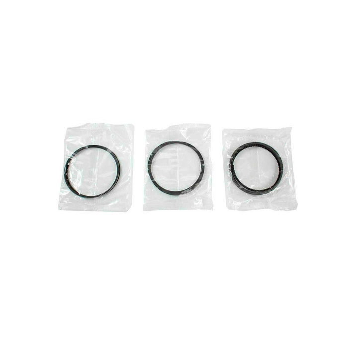 Piston Set w/ Rings