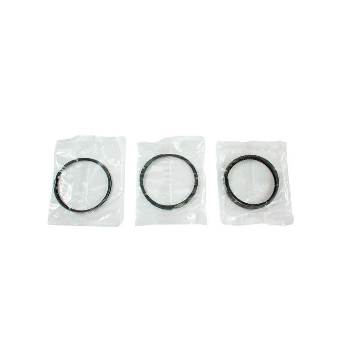 Engine Piston and Ring Kit