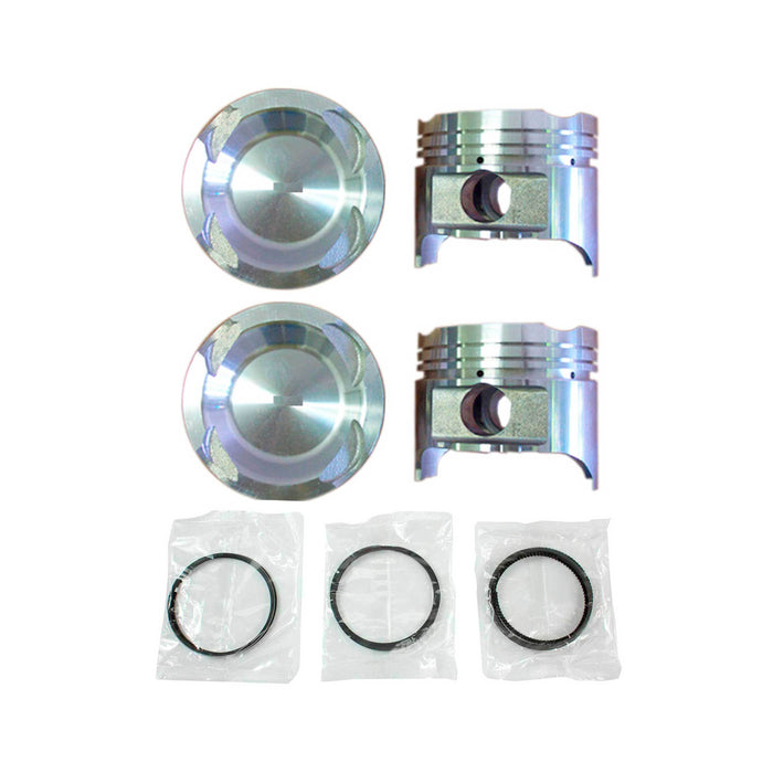 Piston Set w/ Rings