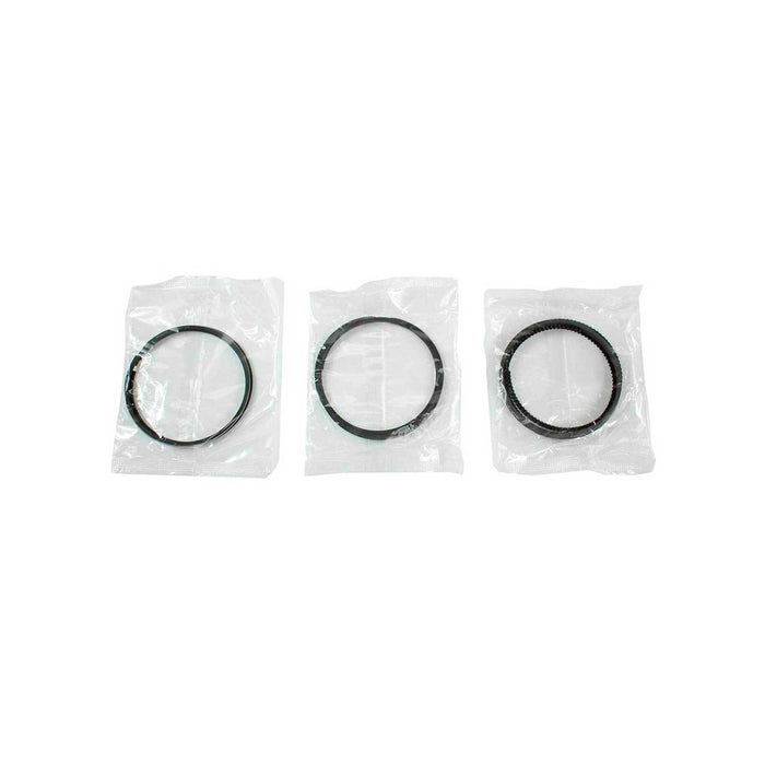 Piston and Ring Kit