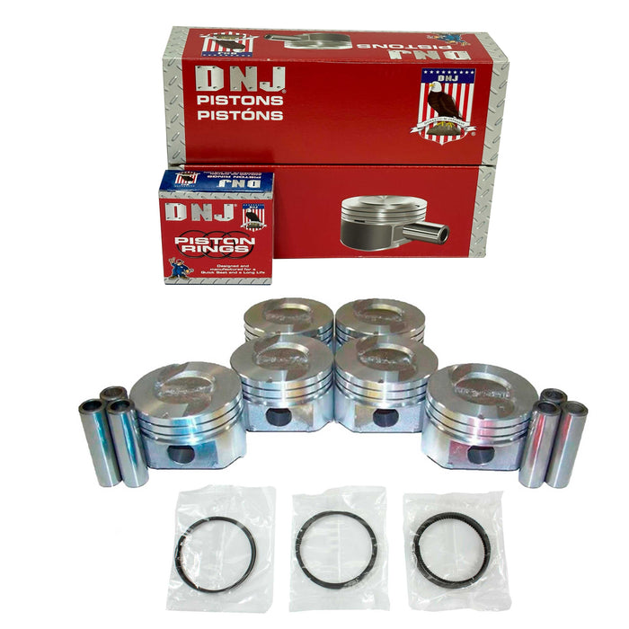 Piston Set w/ Rings