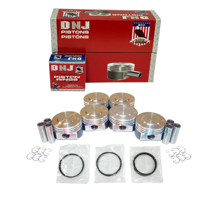 Piston Set w/ Rings