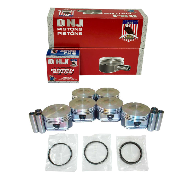 Piston Set w/ Rings