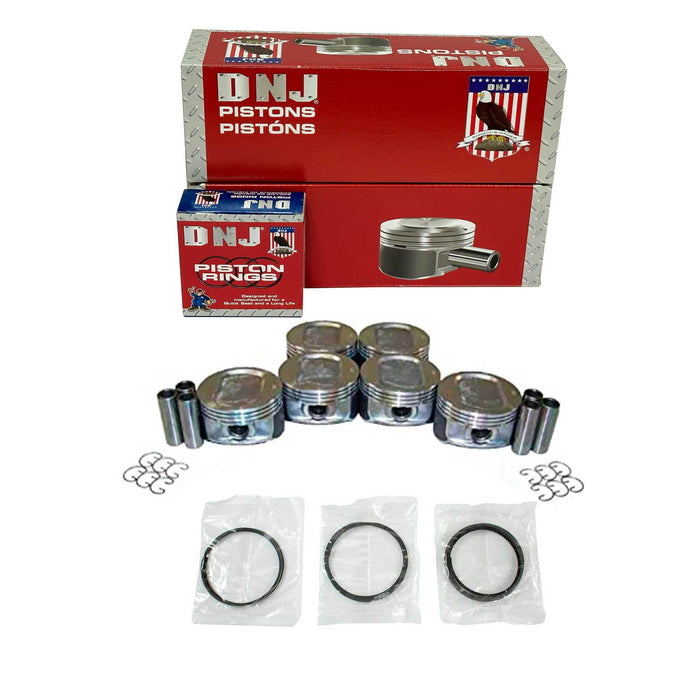 Piston Set w/ Rings