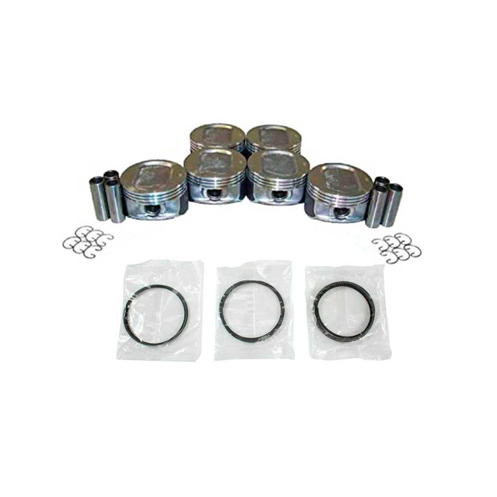 Piston Set w/ Rings