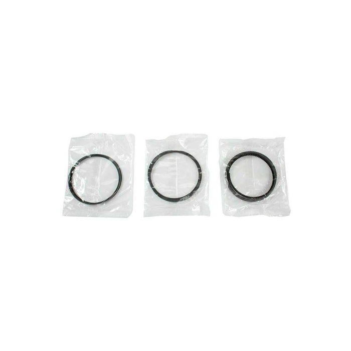 Piston Set w/ Rings