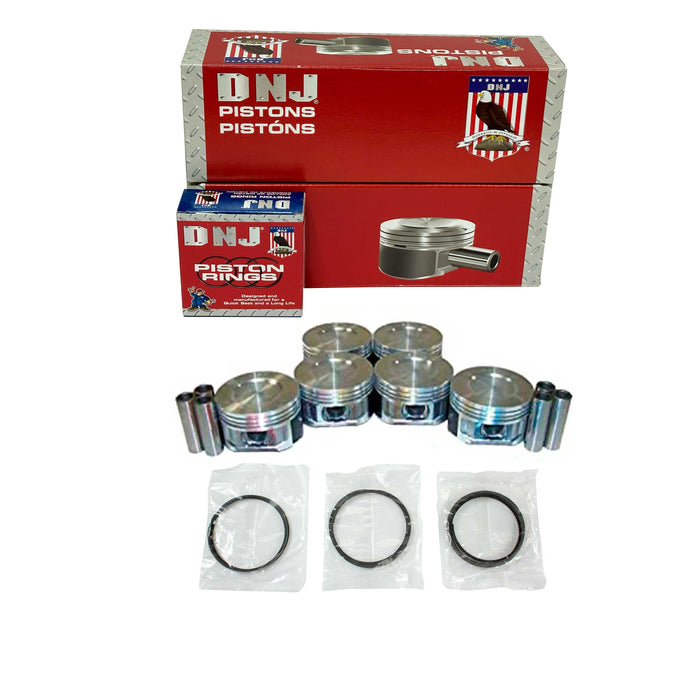 Piston Set w/ Rings