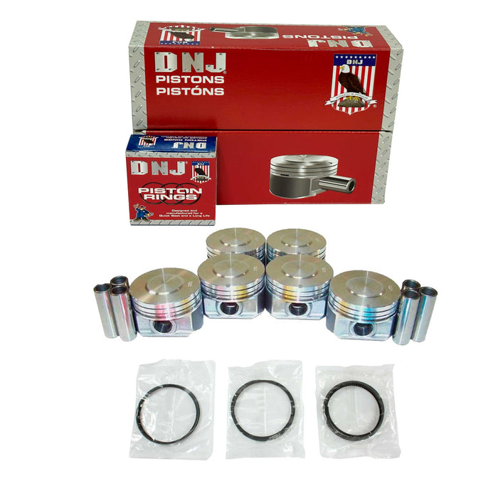 Piston Set w/ Rings