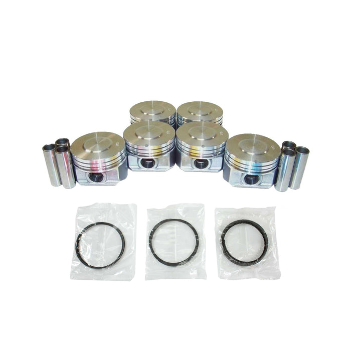 Piston Set w/ Rings