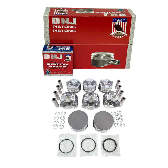 Piston Set w/ Rings