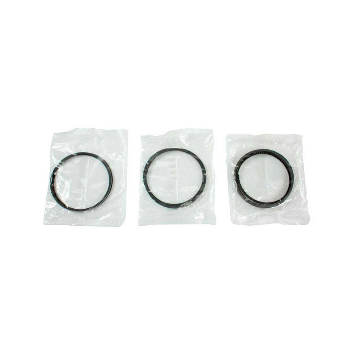 Engine Piston and Ring Kit