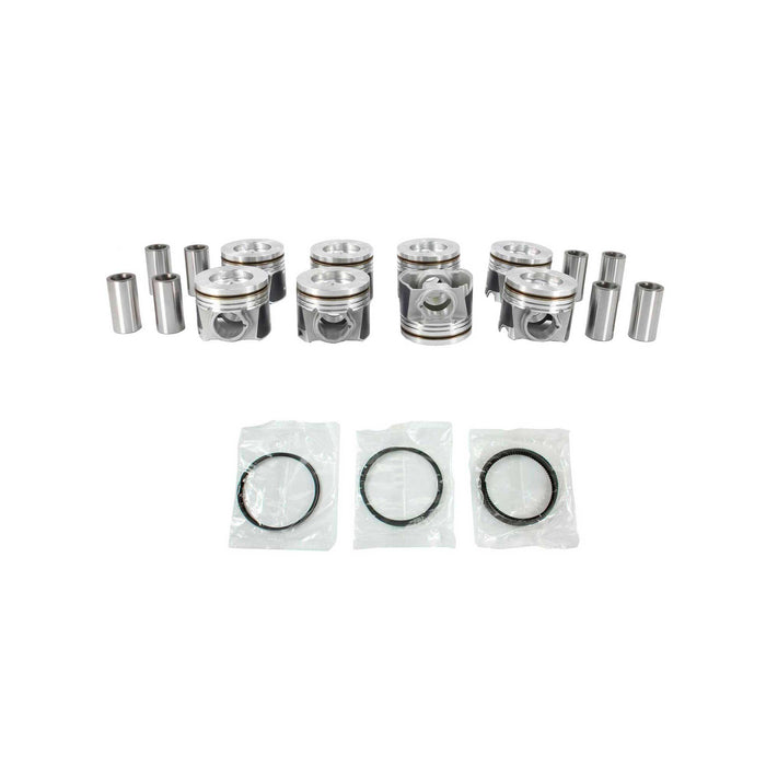Engine Piston and Ring Kit