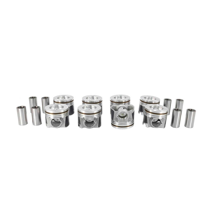 Engine Piston and Ring Kit