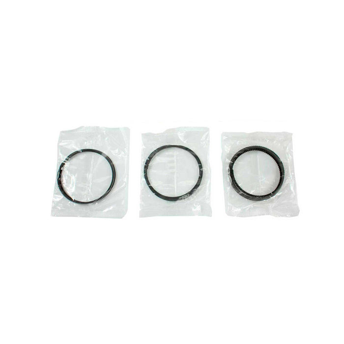 Engine Piston and Ring Kit