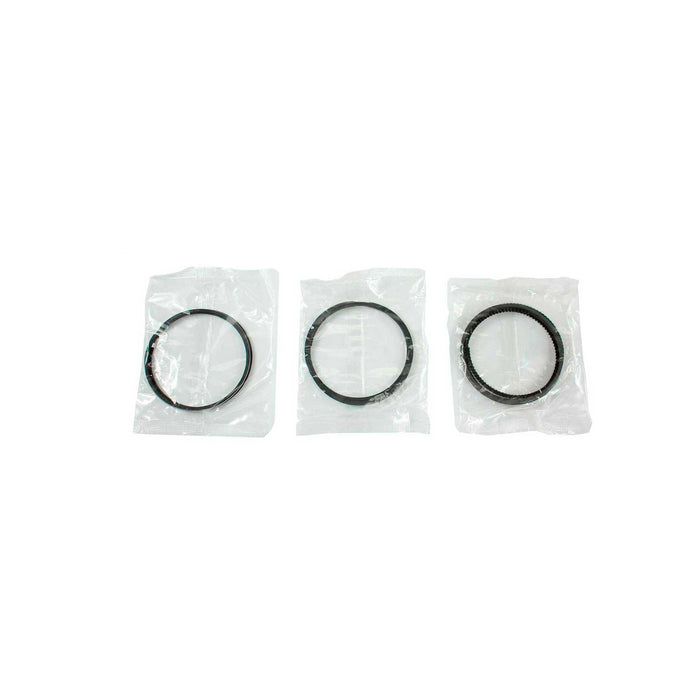Engine Piston and Ring Kit
