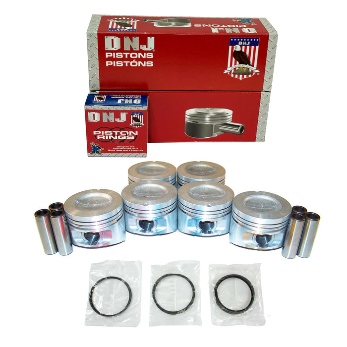Piston Set w/ Rings