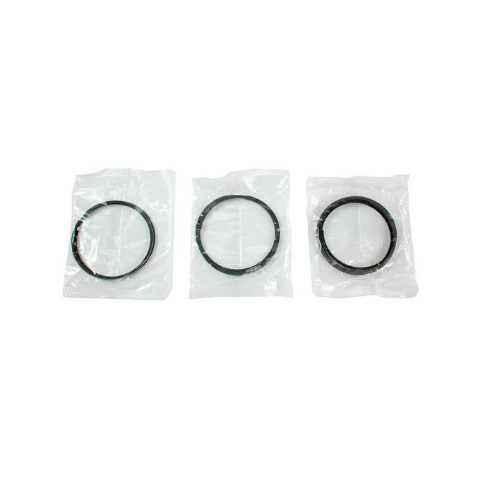 Engine Piston and Ring Kit