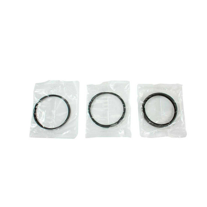 Engine Piston and Ring Kit