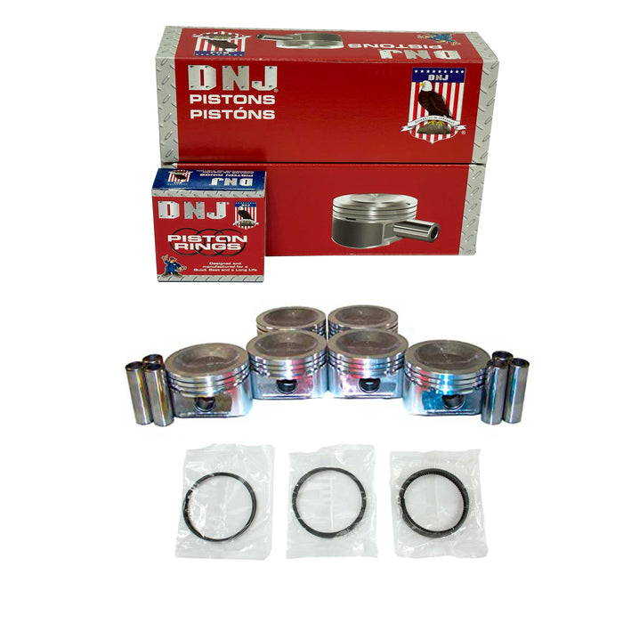 Piston Set w/ Rings