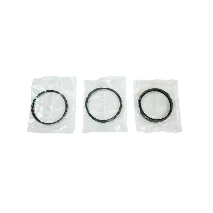 Engine Piston and Ring Kit