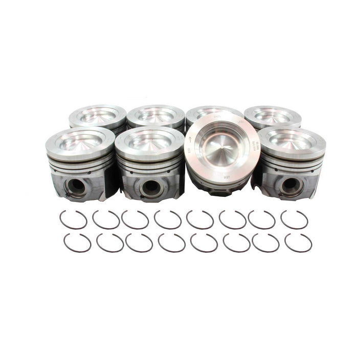 Engine Piston and Ring Kit