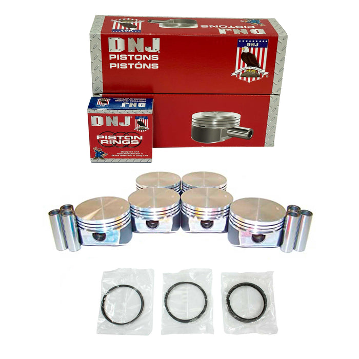 Piston Set w/ Rings