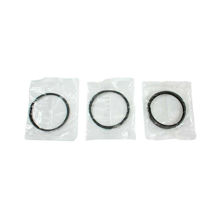 Engine Piston and Ring Kit